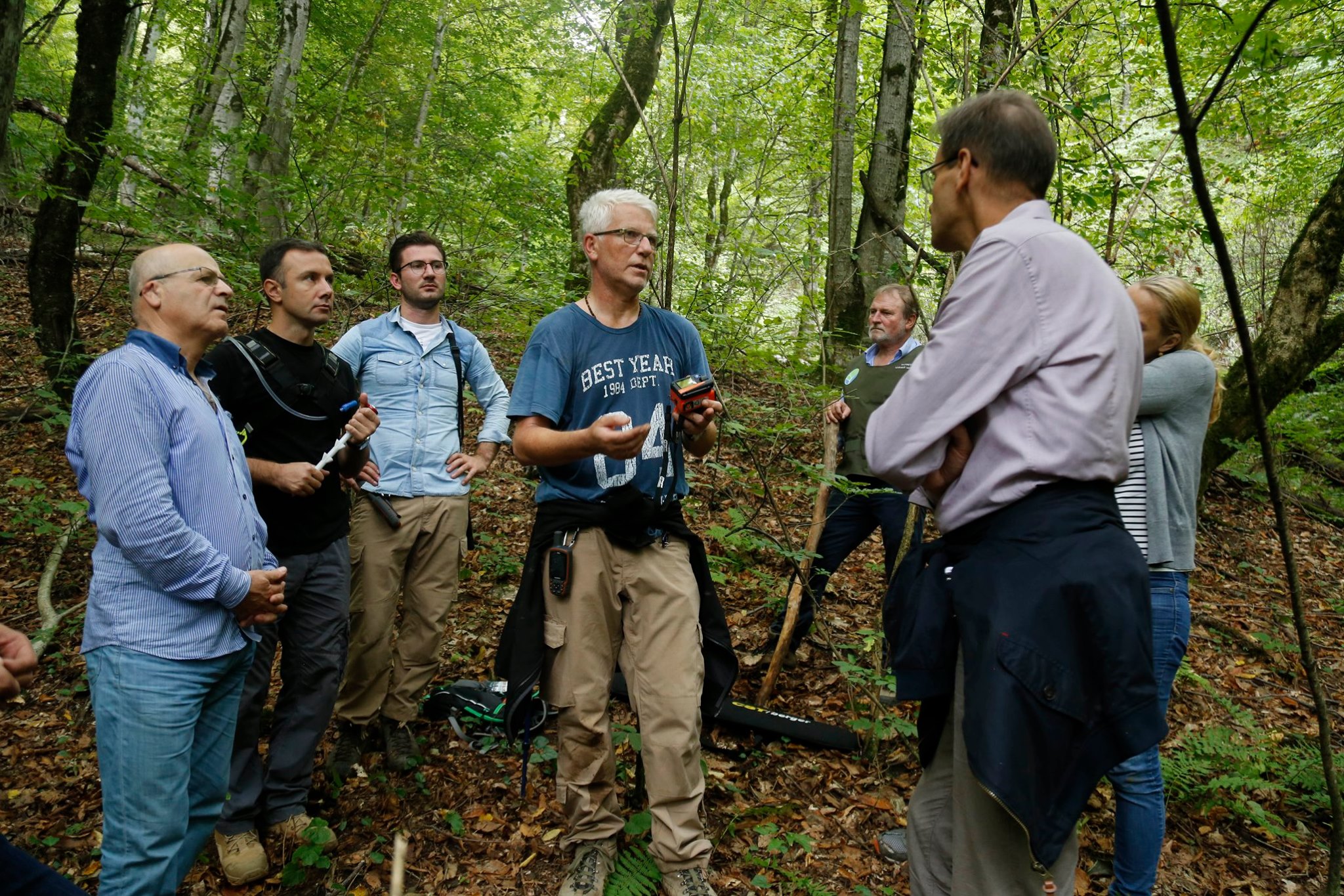 Forest national inventory is on in Kakheti region