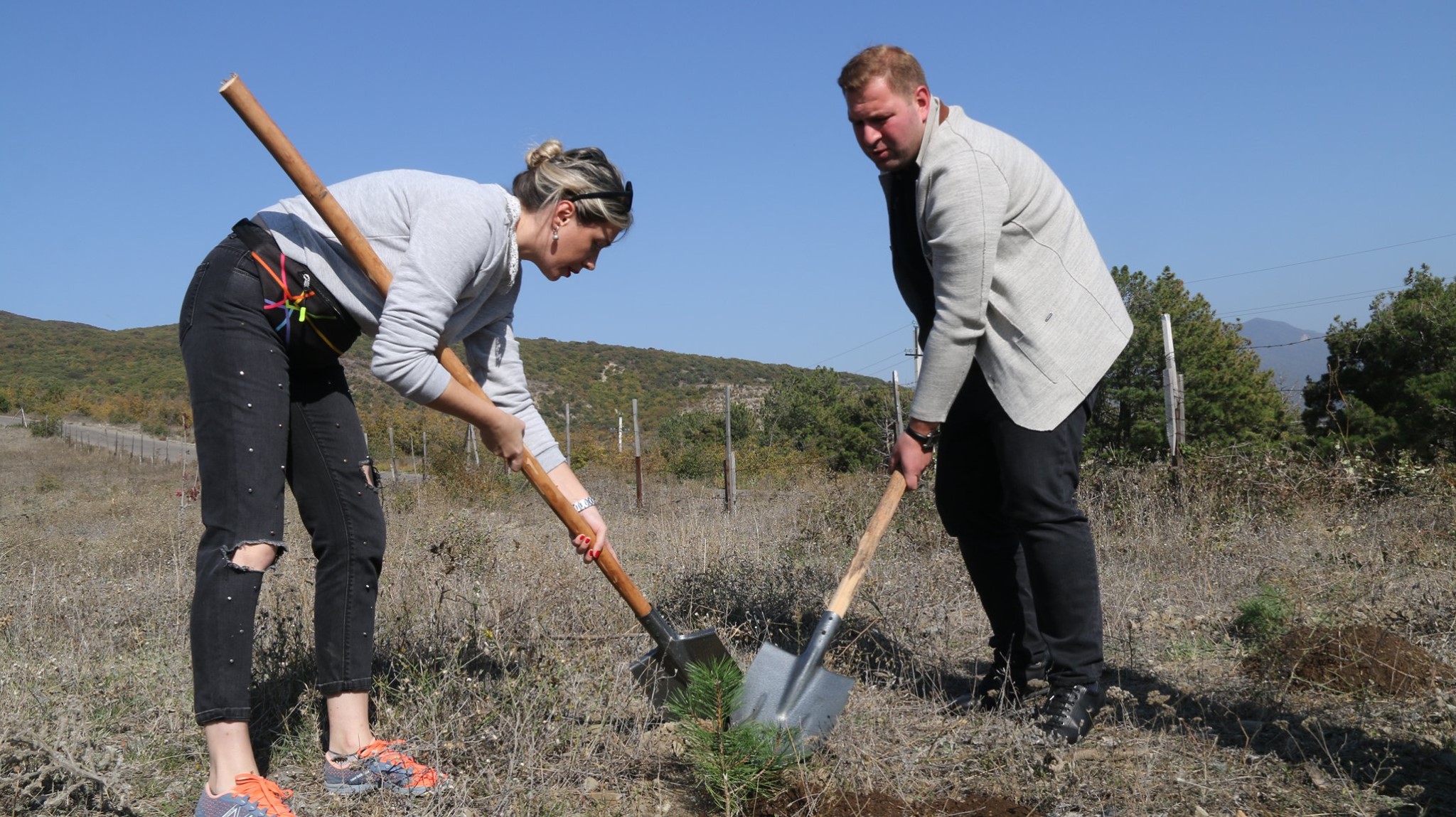 Tree planting day