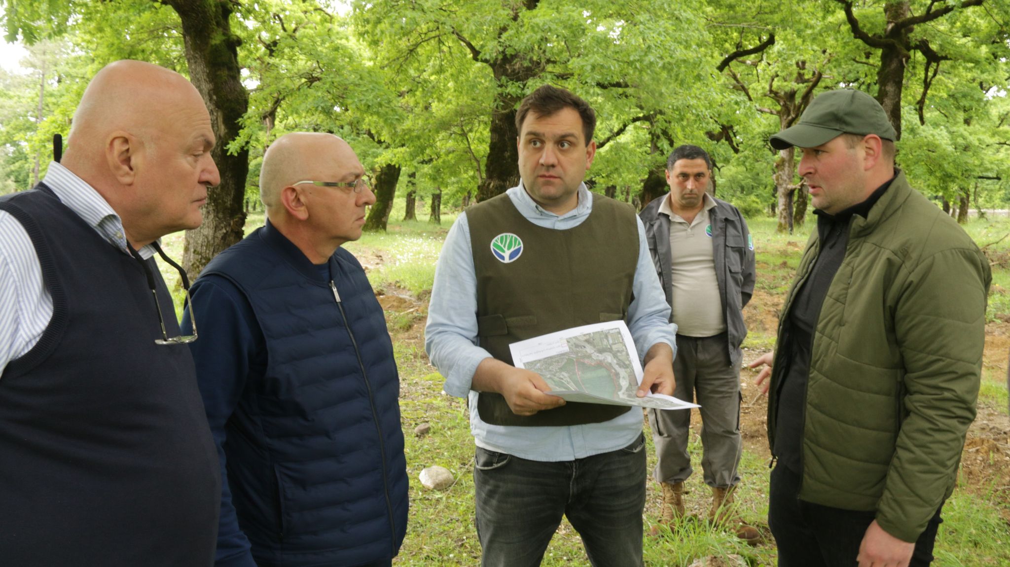 Forest restoration measures in Mukhnari forest