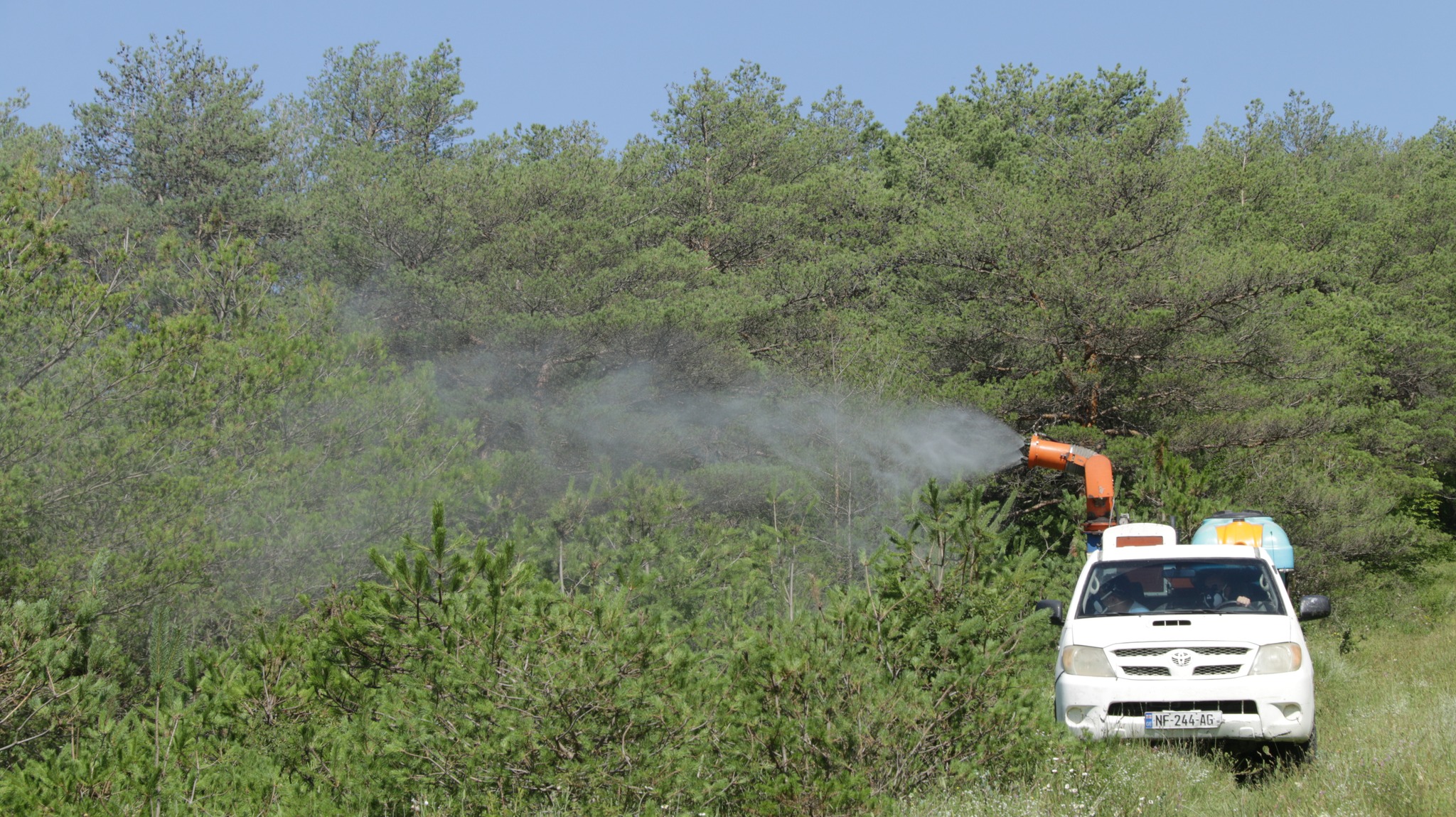 Measures against harmful pests are taken in the village of Avlev