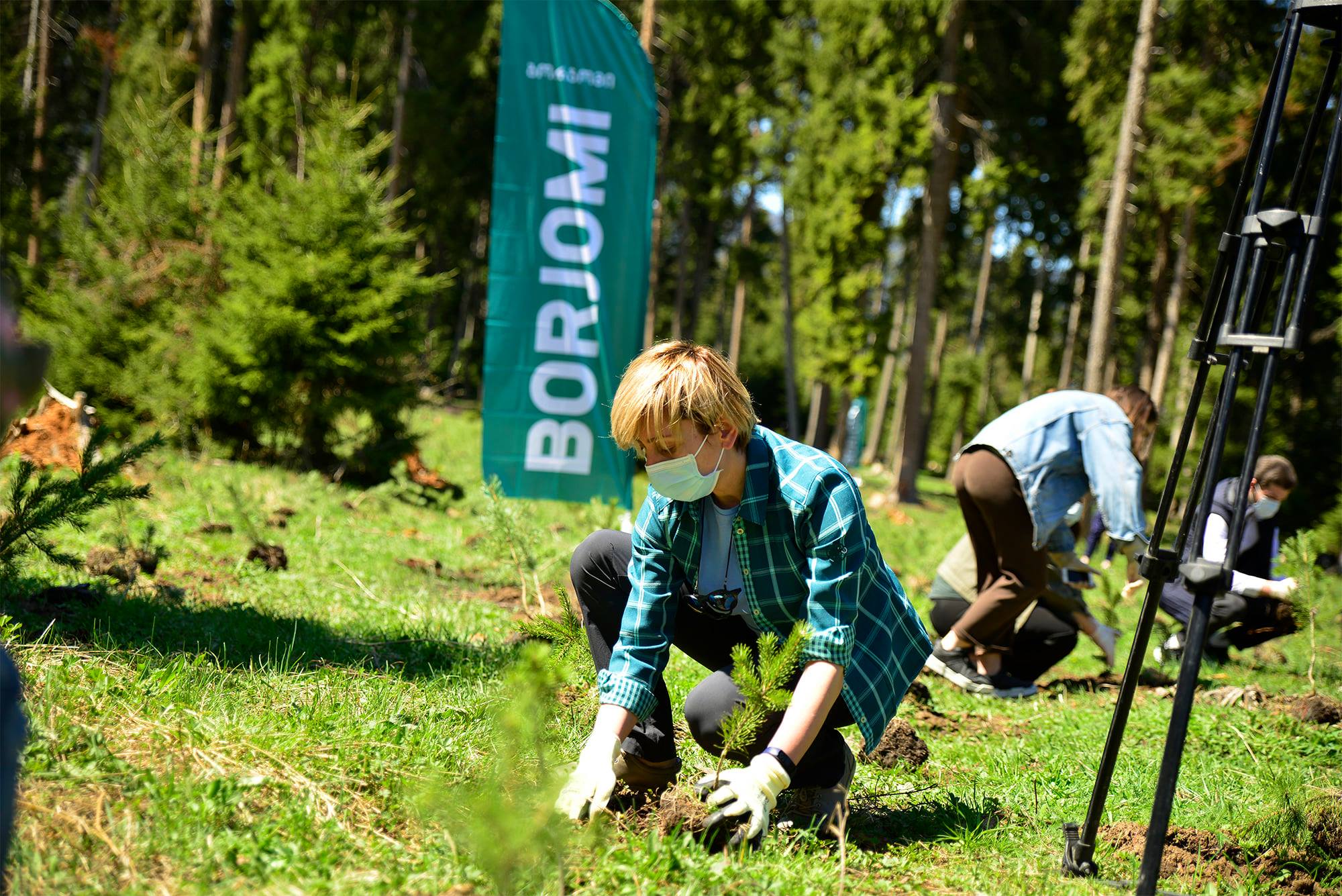Borjomi Plateau forest restoration project 