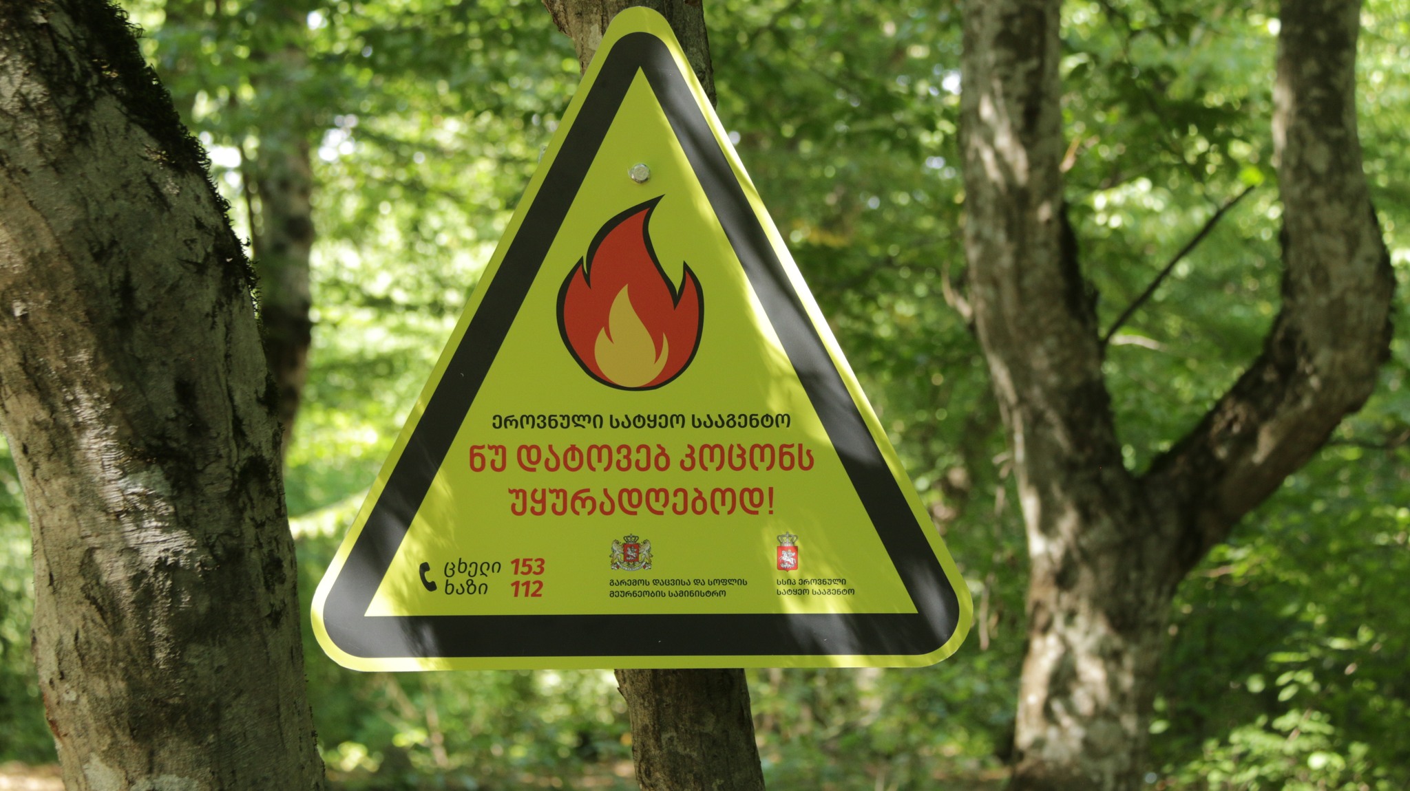 Warning signs on forest edges