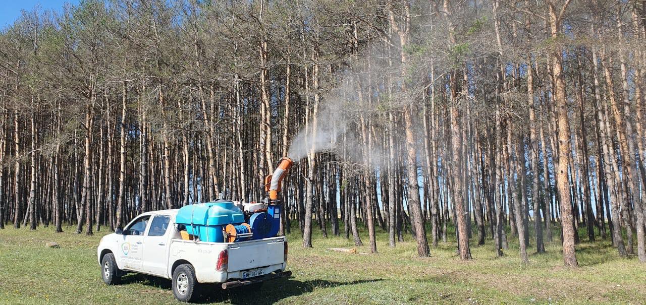 Measures against harmful insects in Akhalkalaki