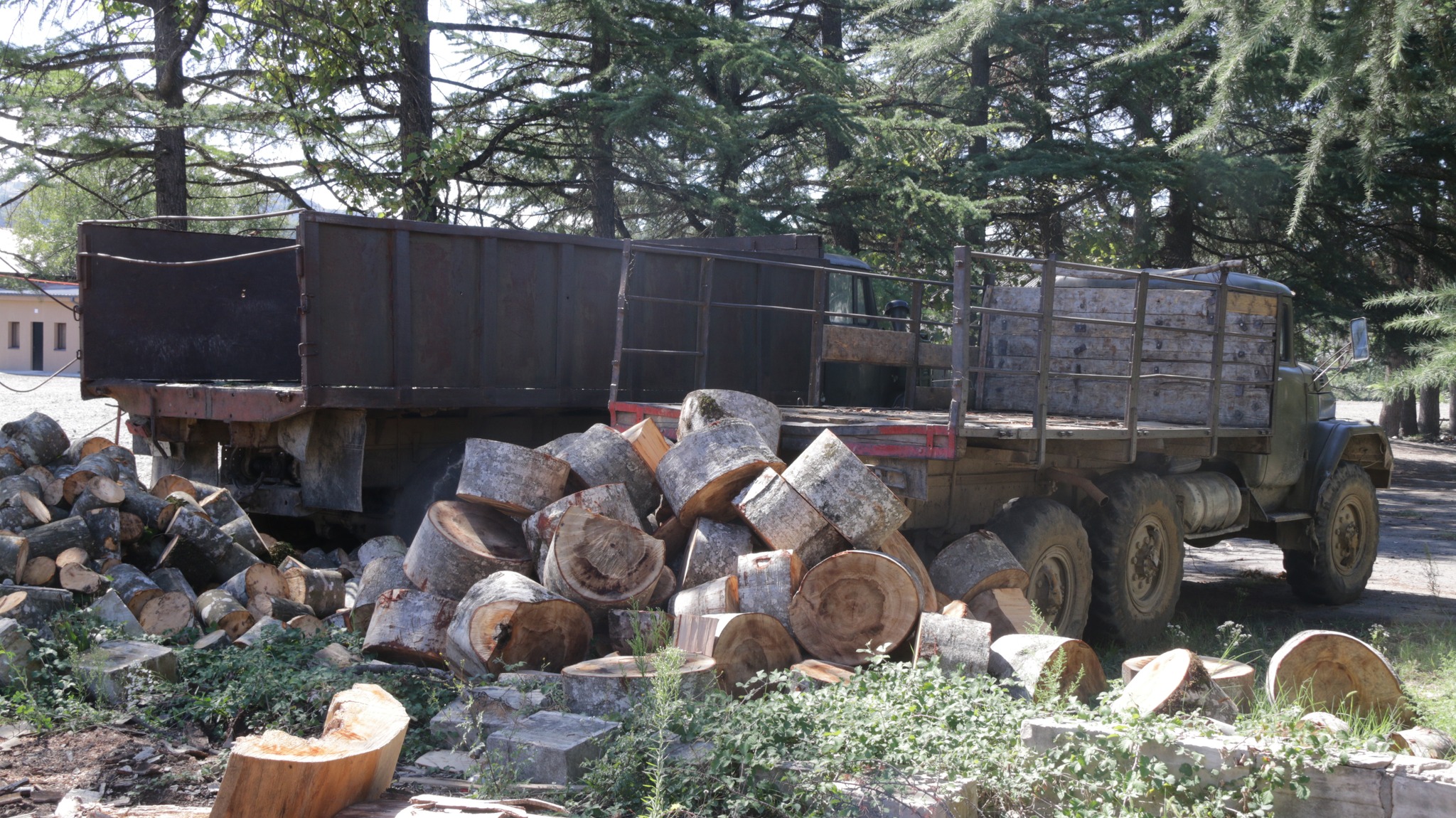 Timber illegal transportation in the Imereti region