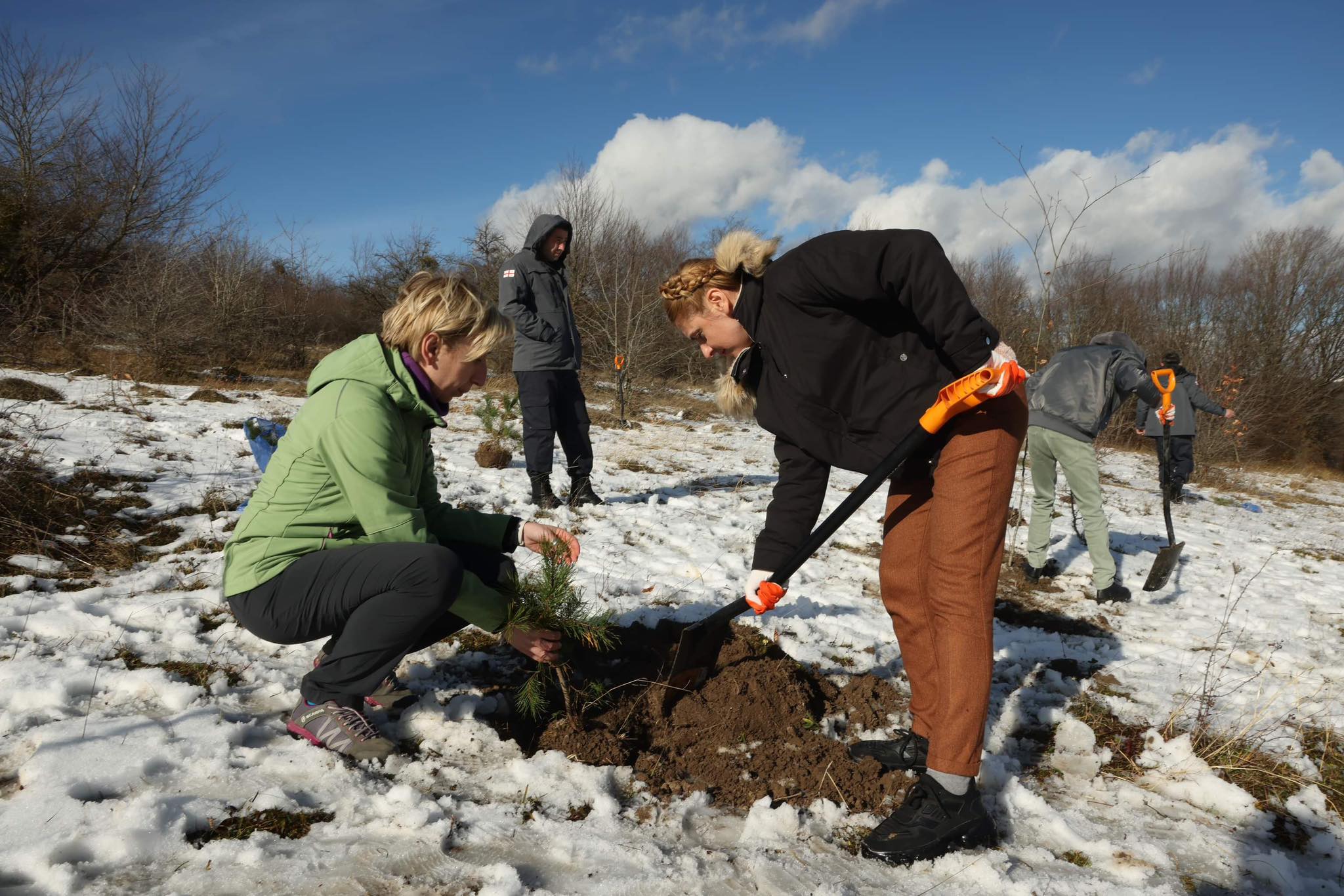 Forest restoration project in Tianeti