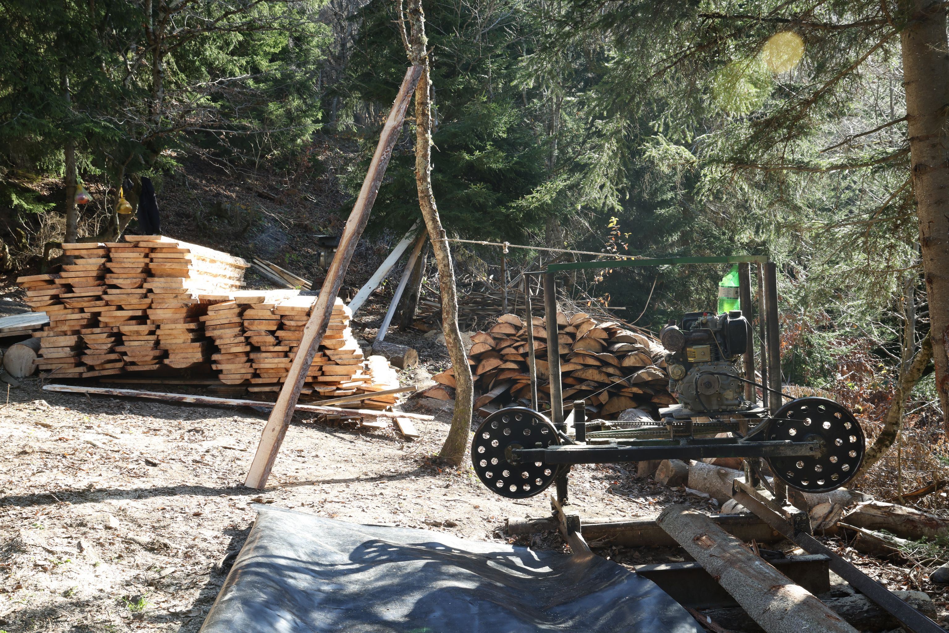 Unregistered sawmill in Kharagauli municipality
