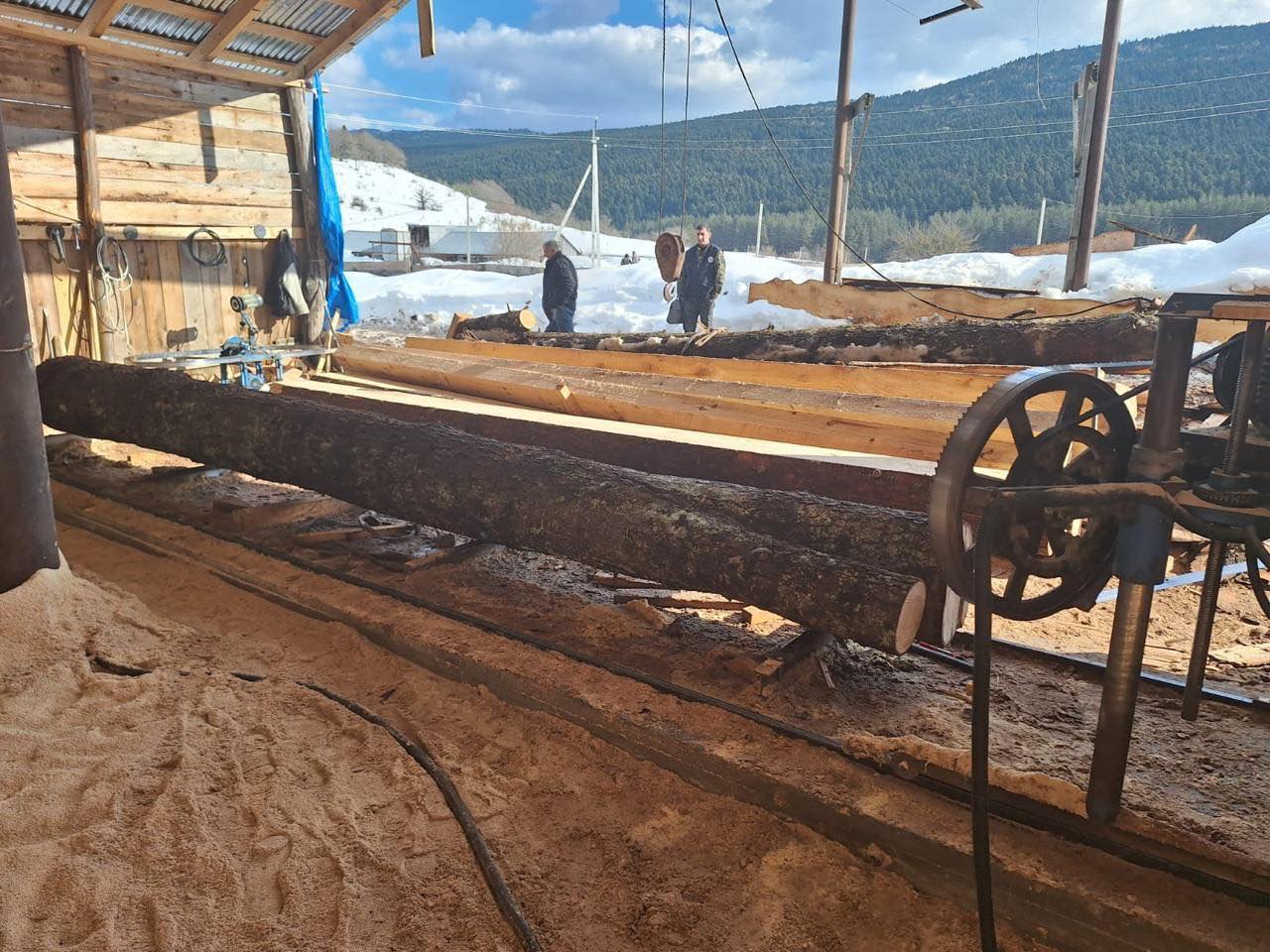 Timber illegal harvesting in Racha-Lechkhum-Kvemo Svaneti