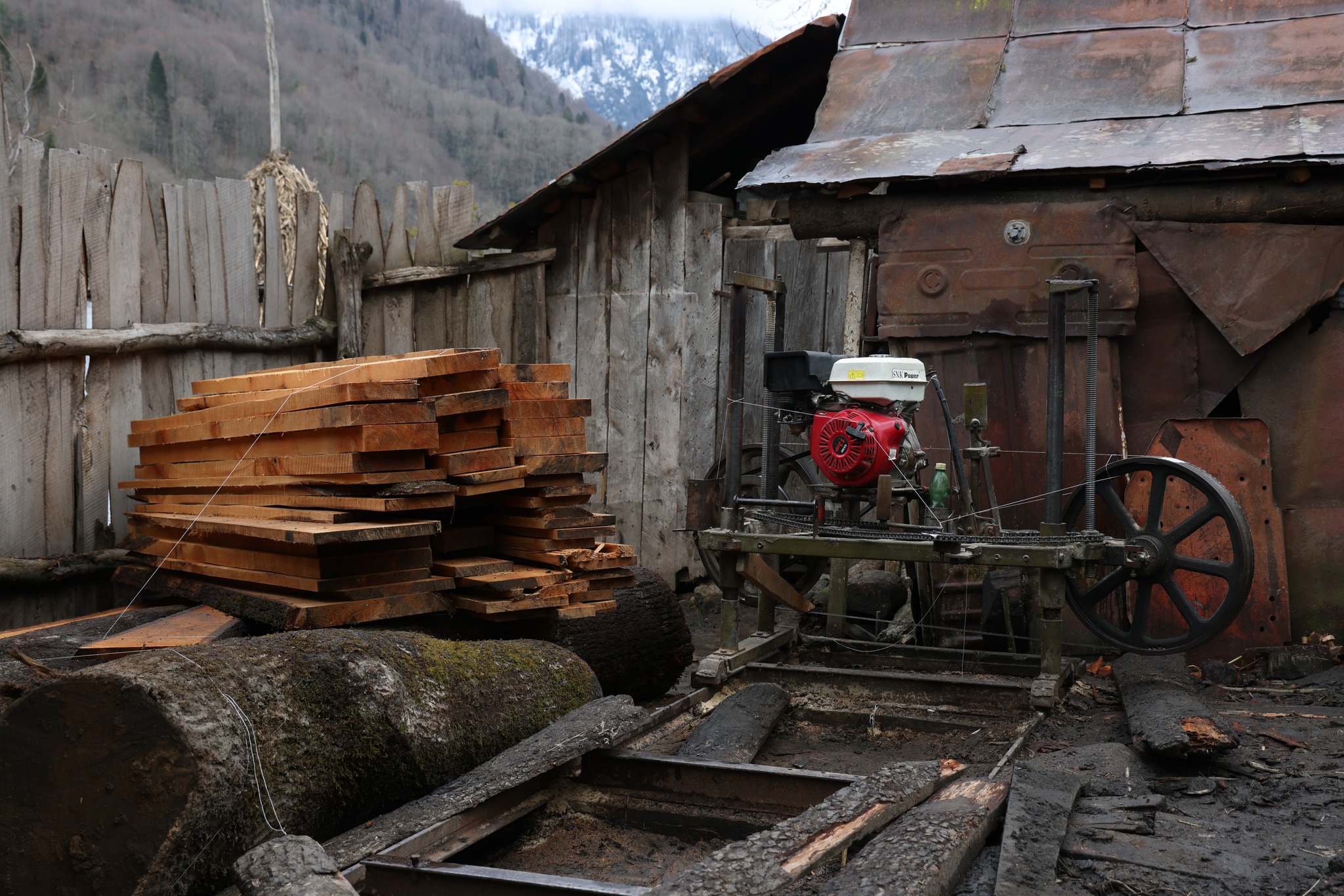Illegal sawmill in Guria