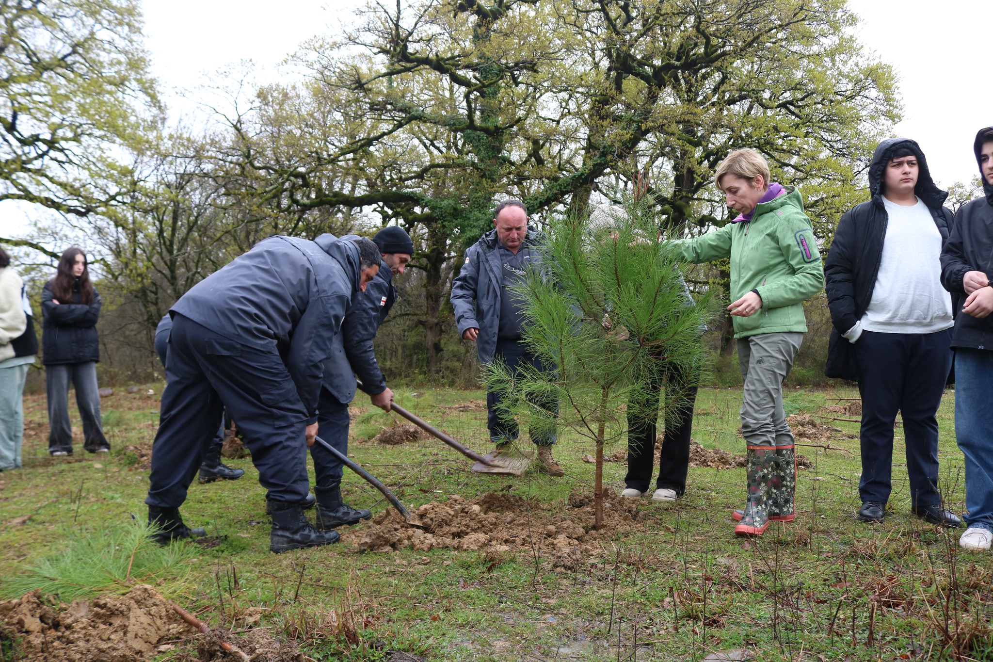 March 21 - International Forest Day and World Down Syndrome Day