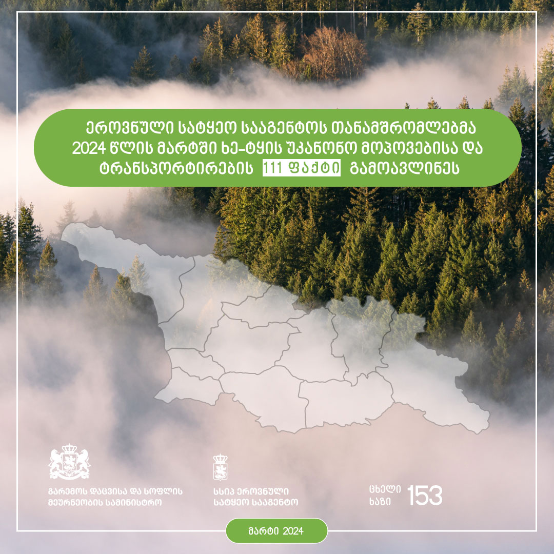 Timber illegal logging and transportation statistics - March 2004