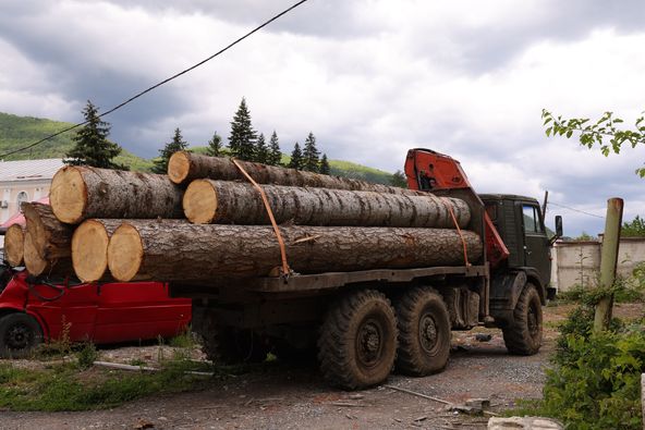 Timber illegal transportation in Ambrolauri