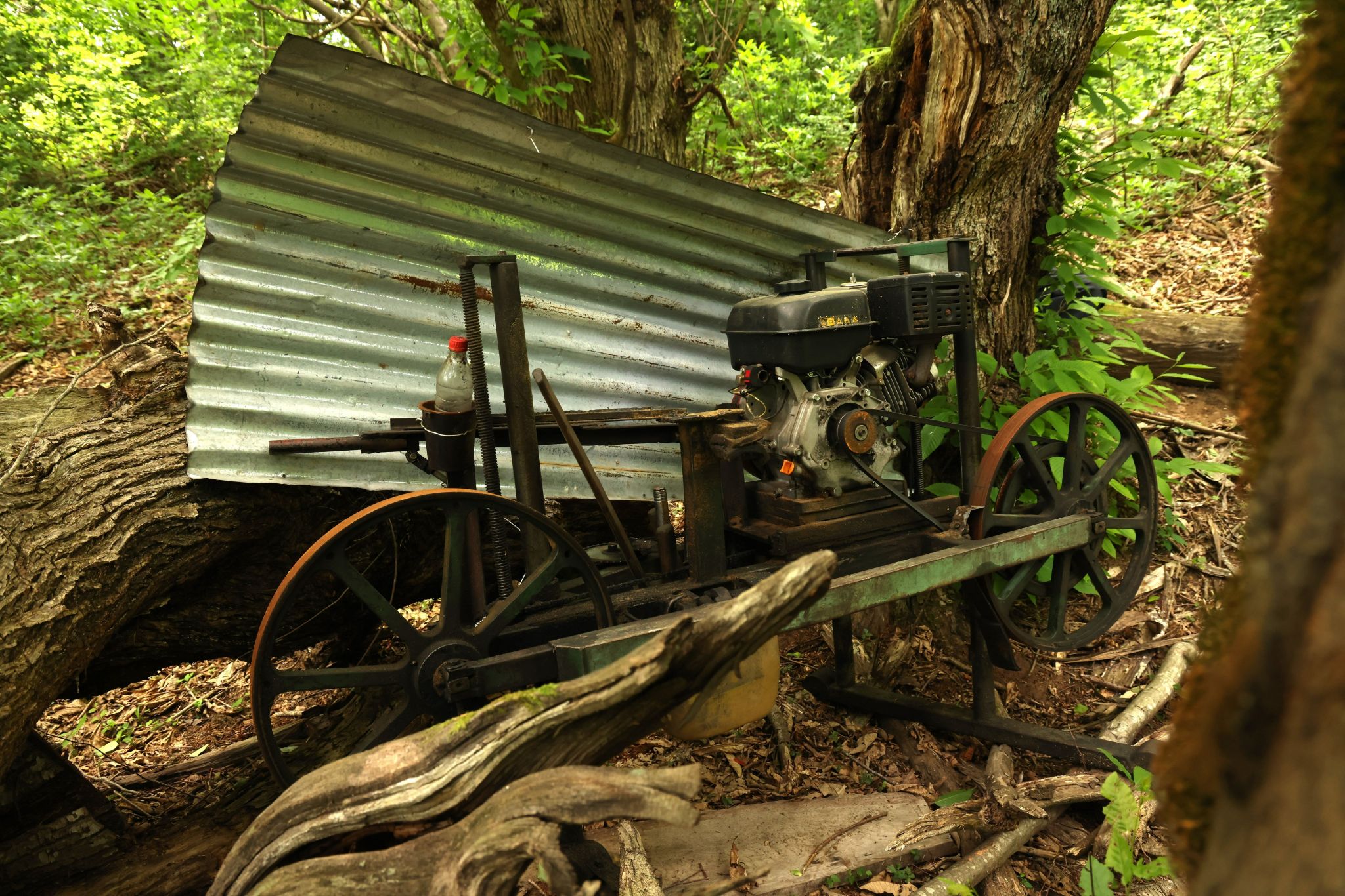 Illegal Sawmill in imereti