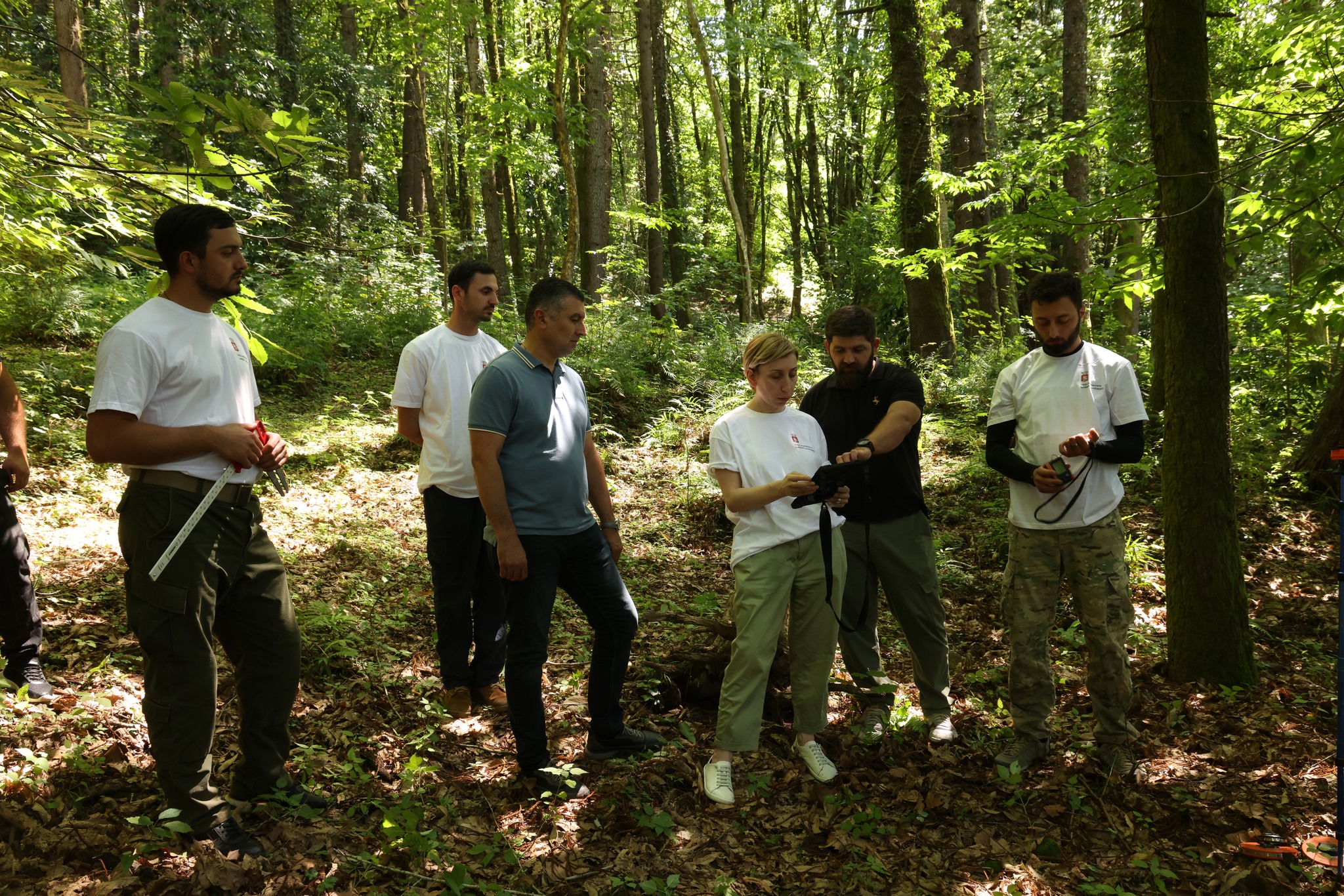 Forest inventory works in the frame of GCF project