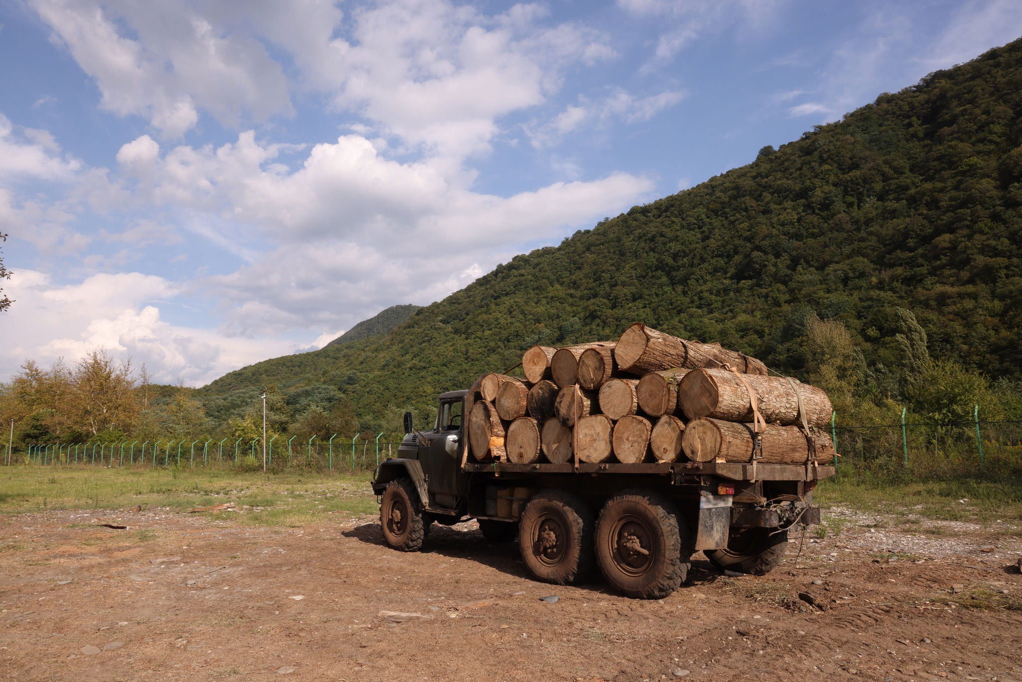 The fact of illegal extraction and transportation of timber in Imereti