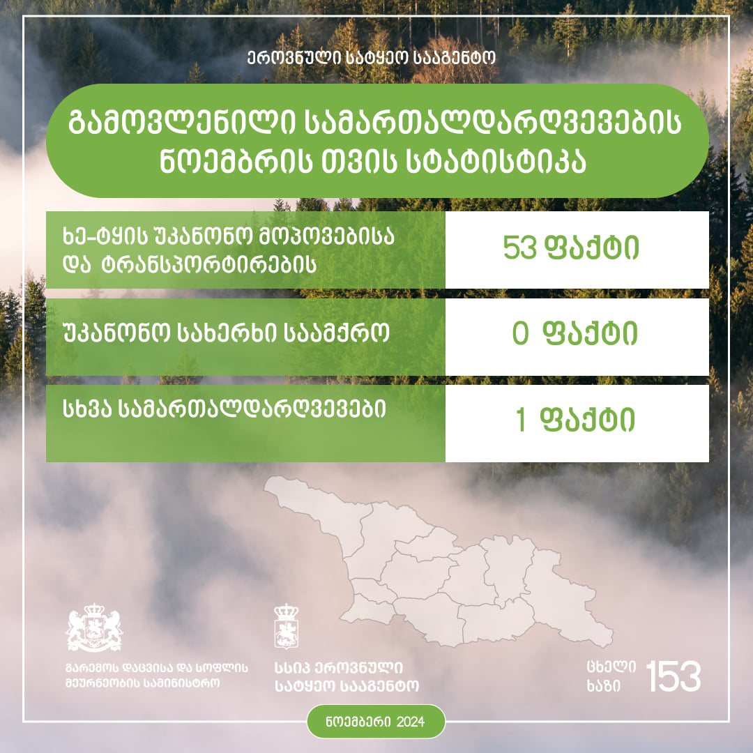 Employees of the National Forestry Agency revealed 54 violations in November of this year