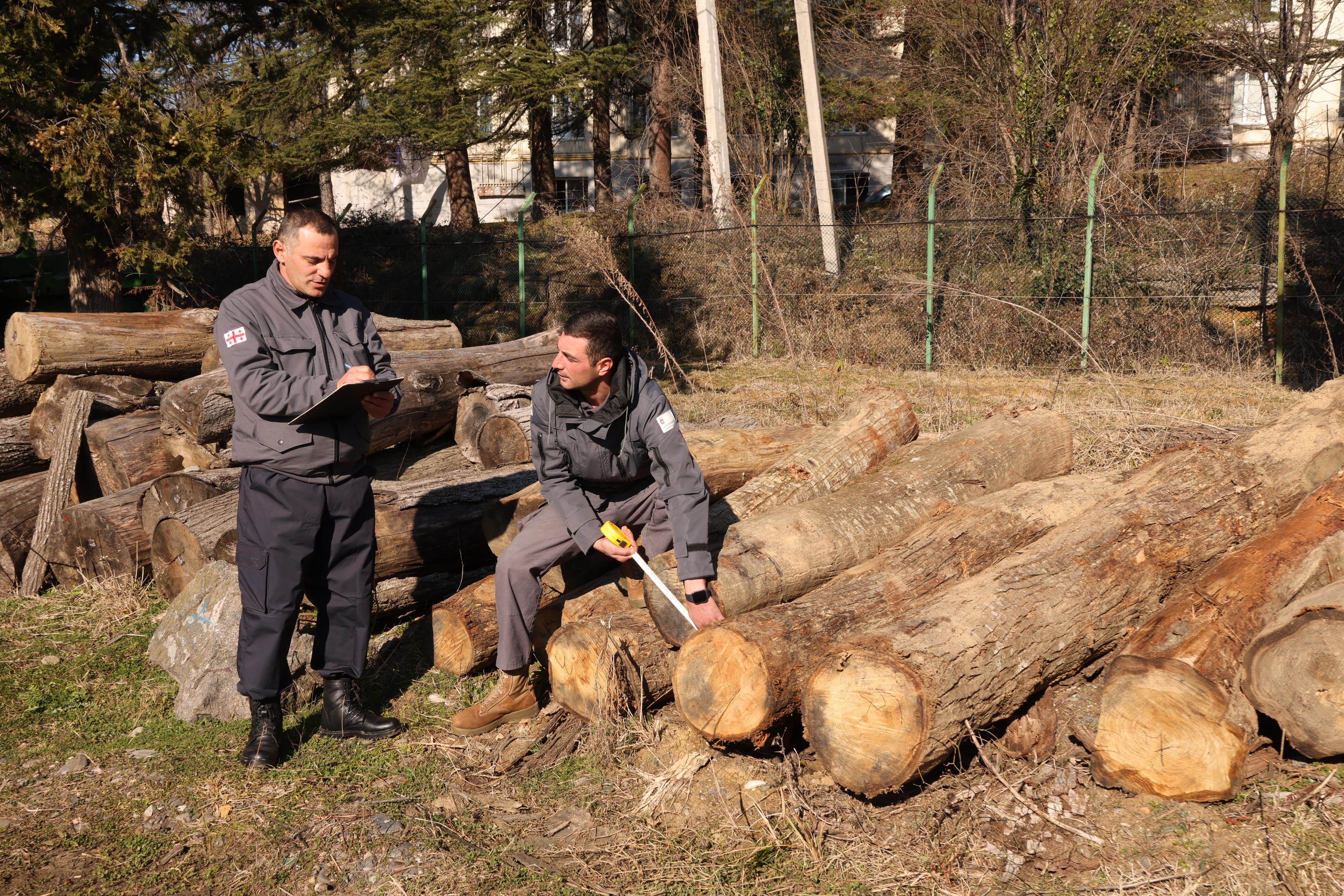 The fact of illegal logging in Kharagauli