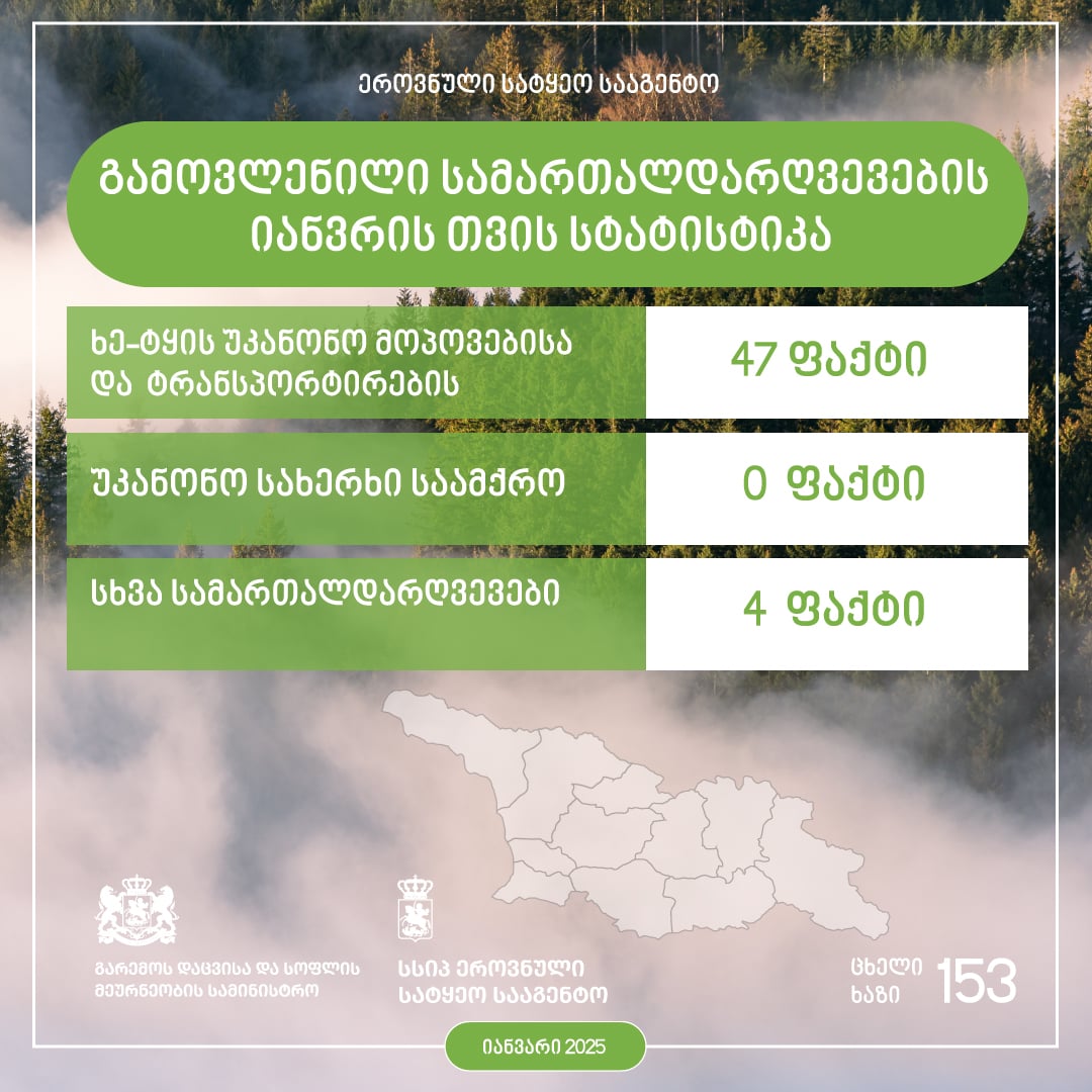 Timber illegal logging and transportation statistics - January 2025