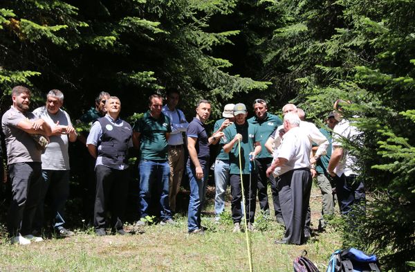 Forest inventory in Adigeni municipality