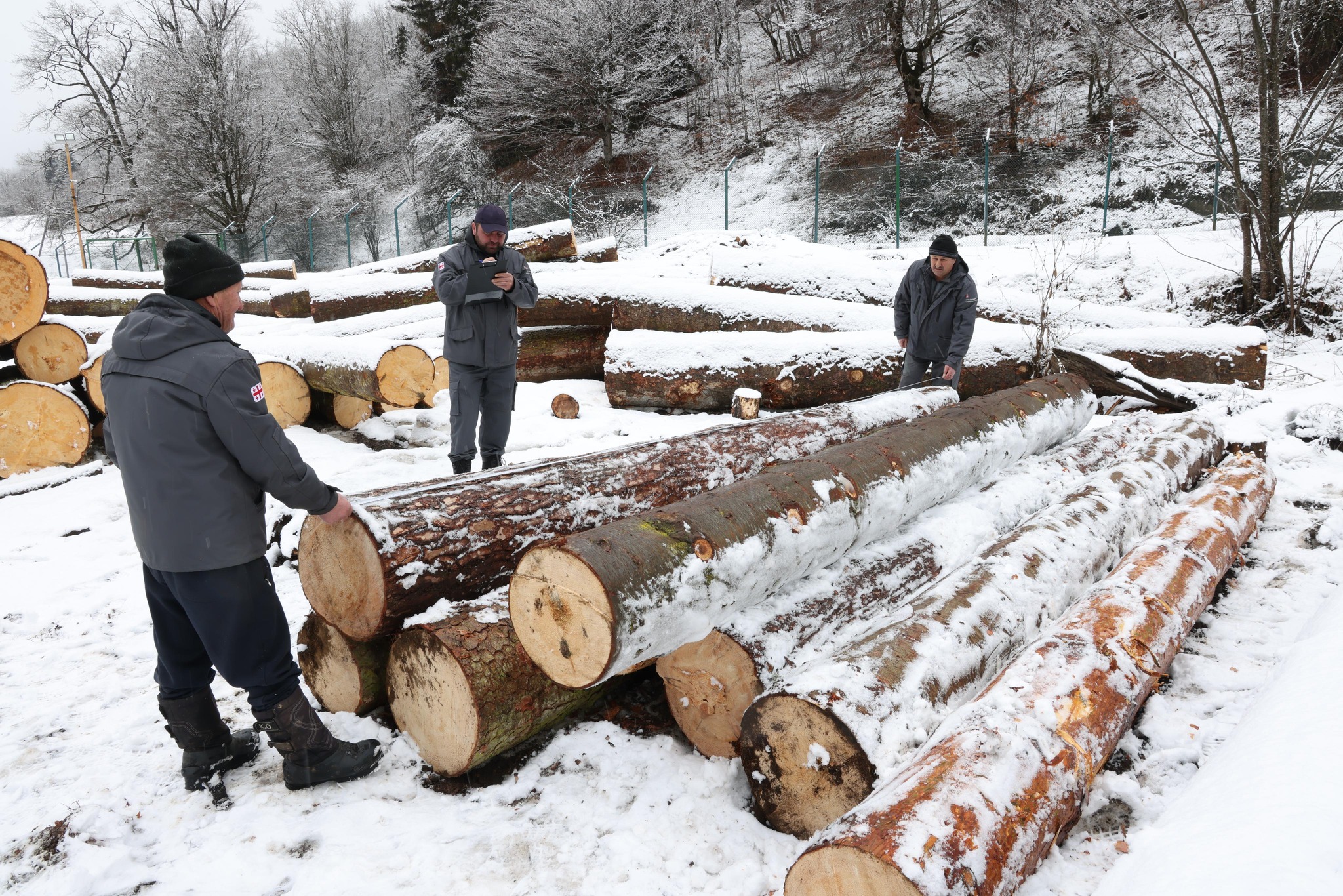 One of the objectives of the reform is to strengthen forest monitoring and control