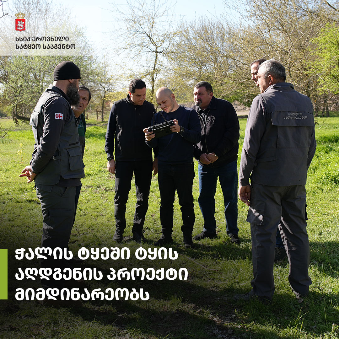 Forest restoration measures are ongoing across an area of 65 hectares in the Gardabani-Marneuli forestry district