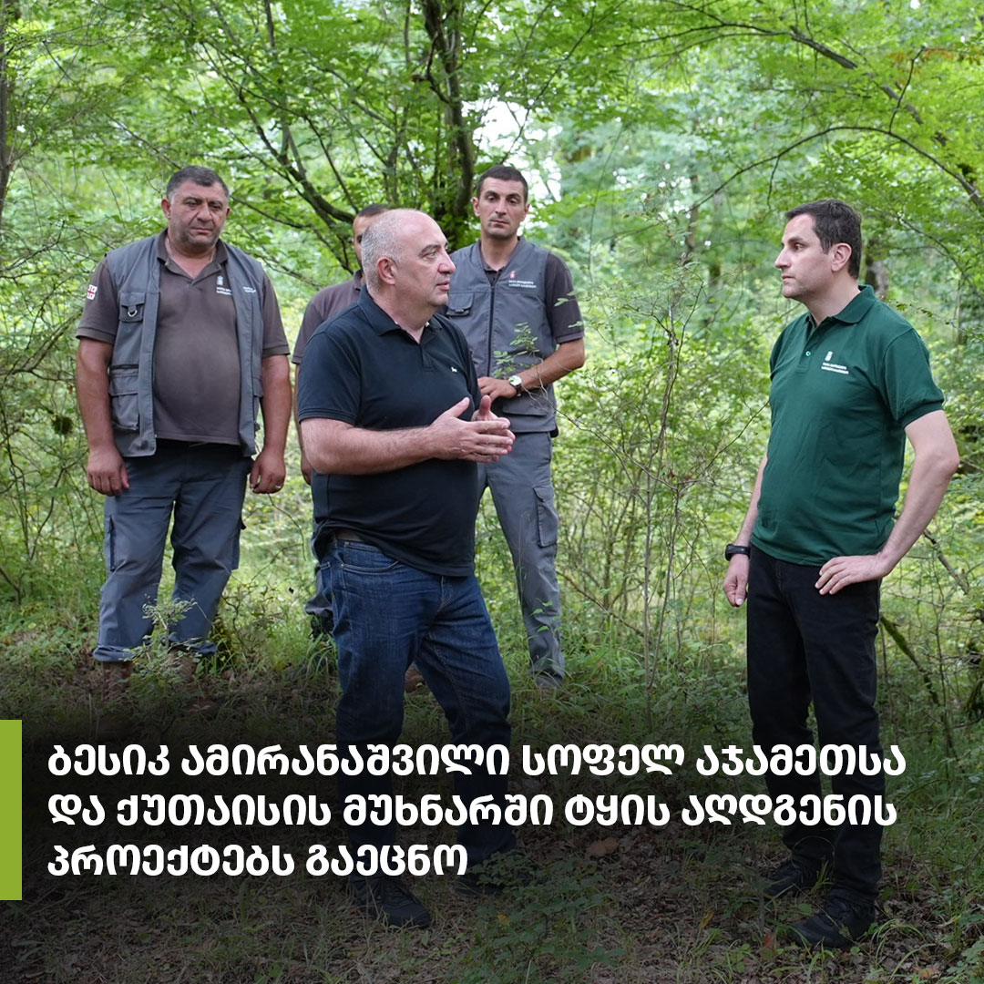 Forest Restoration activities in the Imereti Region