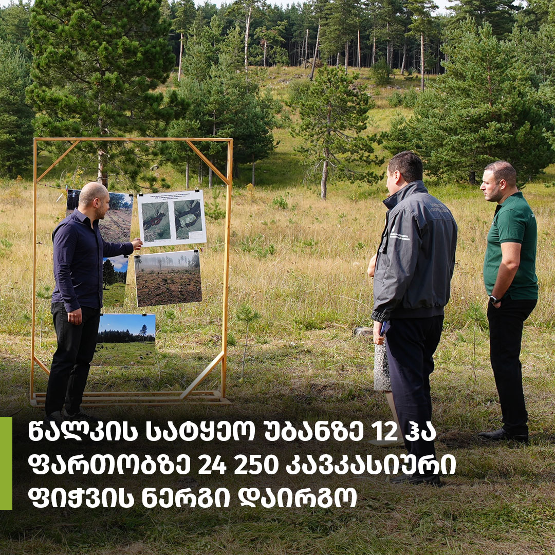 Forest Restoration Measures Underway in Tsalka Forest District