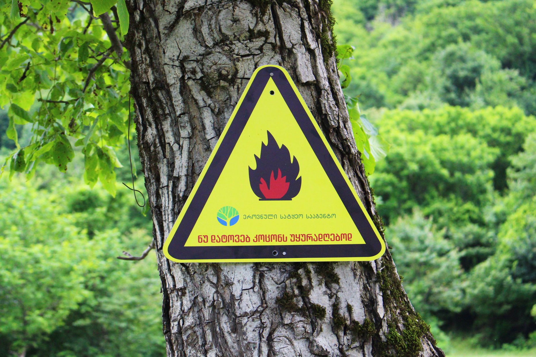 Fire preventive rules in the forests