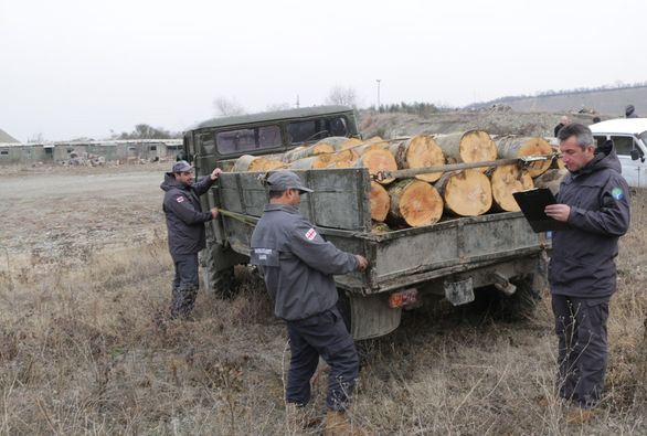The fact of timber illegal logging and transportation