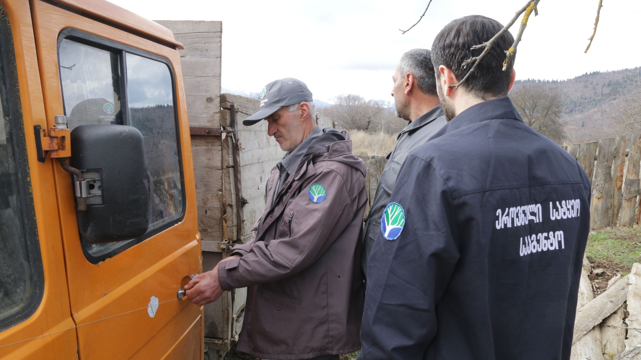 Timber illegal cutting in Borjomi municipality