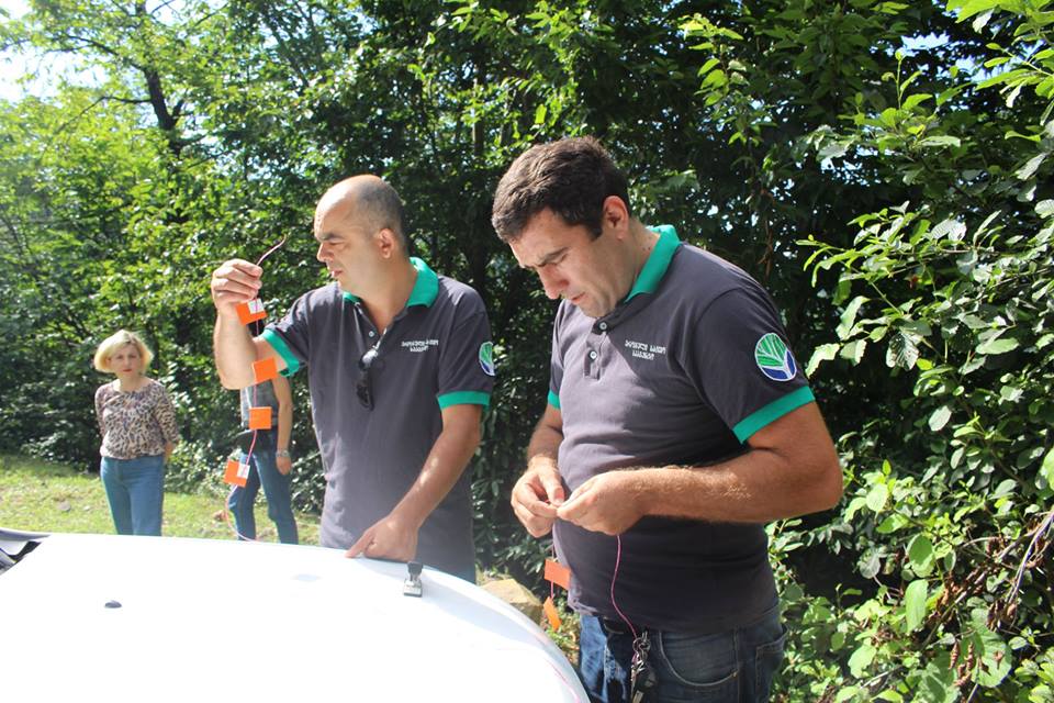 Installation of Halyomorpha halys Monitoring System is underway in Guria