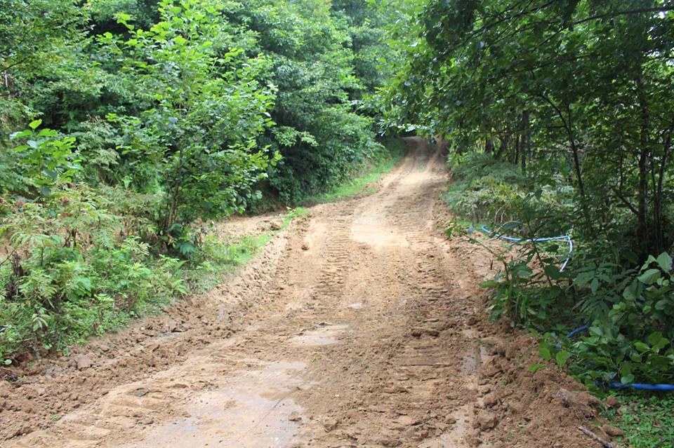Construction-rehabilitation of forestry roads