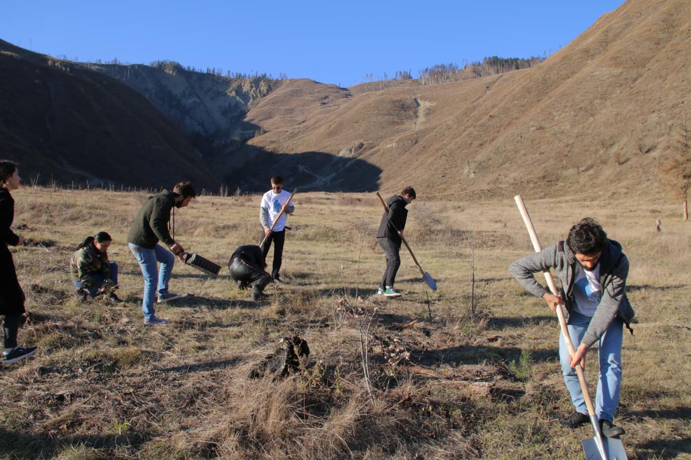 Students of Batumi State University took part in trees planting works in  Borjomi  