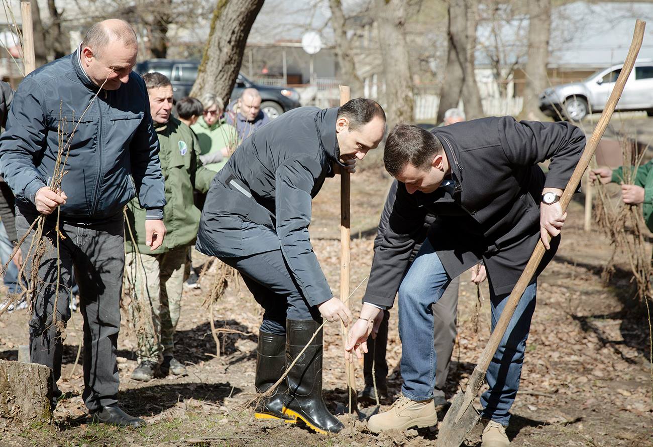 In Daba Surami reforestation project has begun