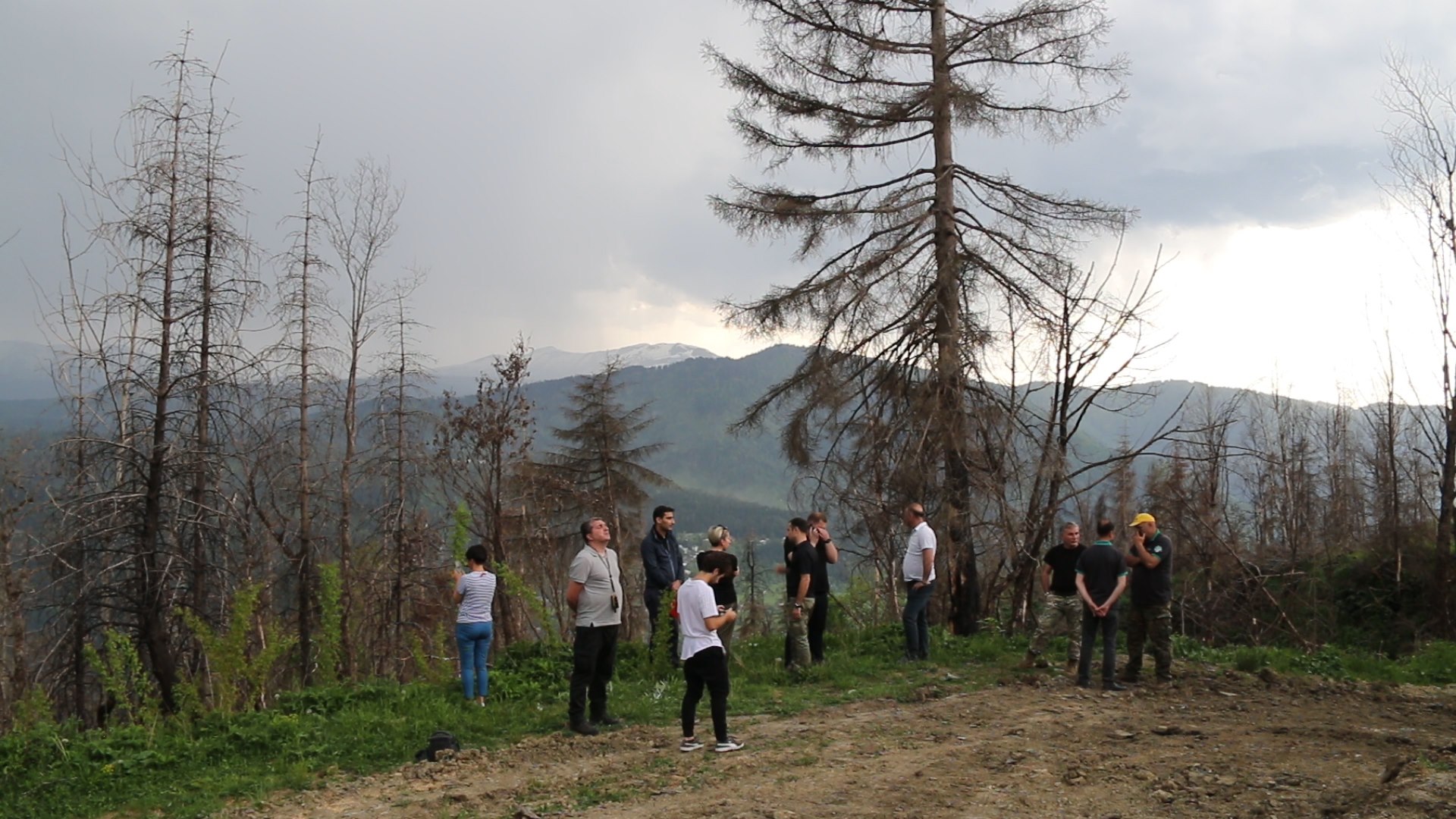 Fire prevention works in Tsagveri