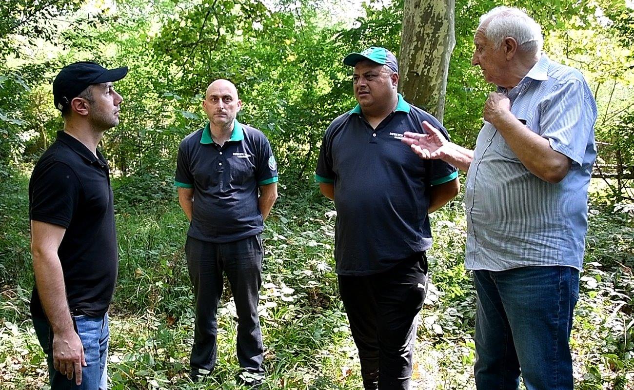 Forest inventory works are completed in Lagodekhi