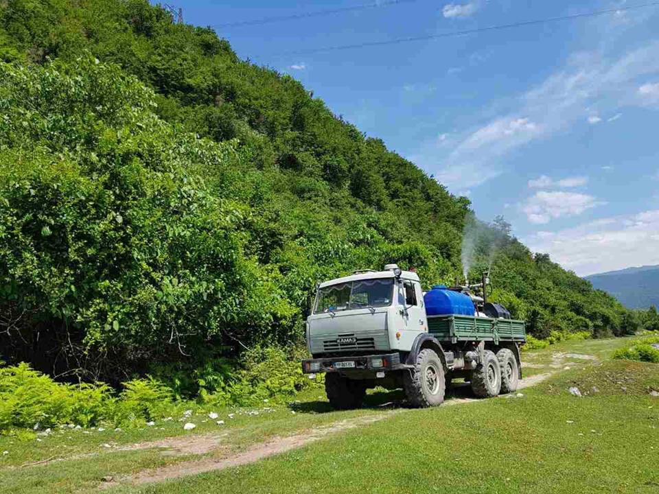 Box tree treatment in Nakerala gorge