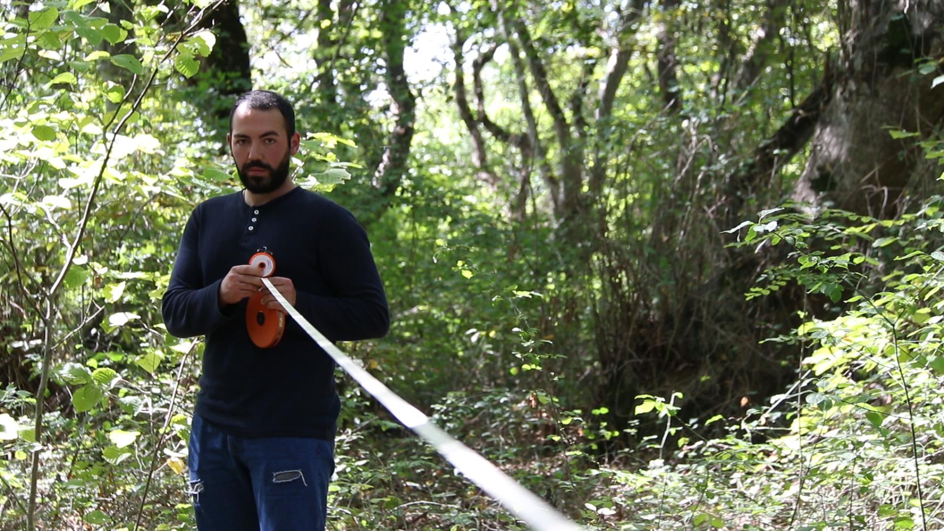 Forest inventory in Akhmeta