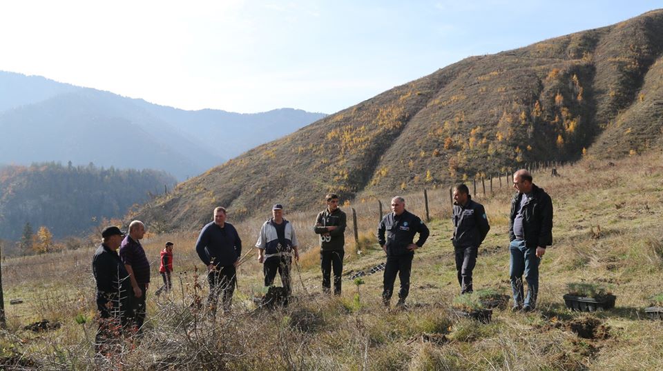 Reforestation project in Daba village 