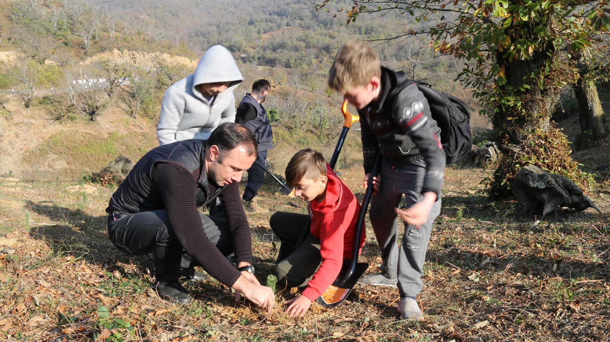 Reforestation project in Satsire