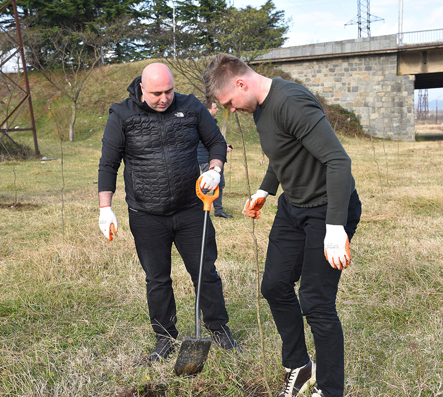 Trees planting in Kutaisi