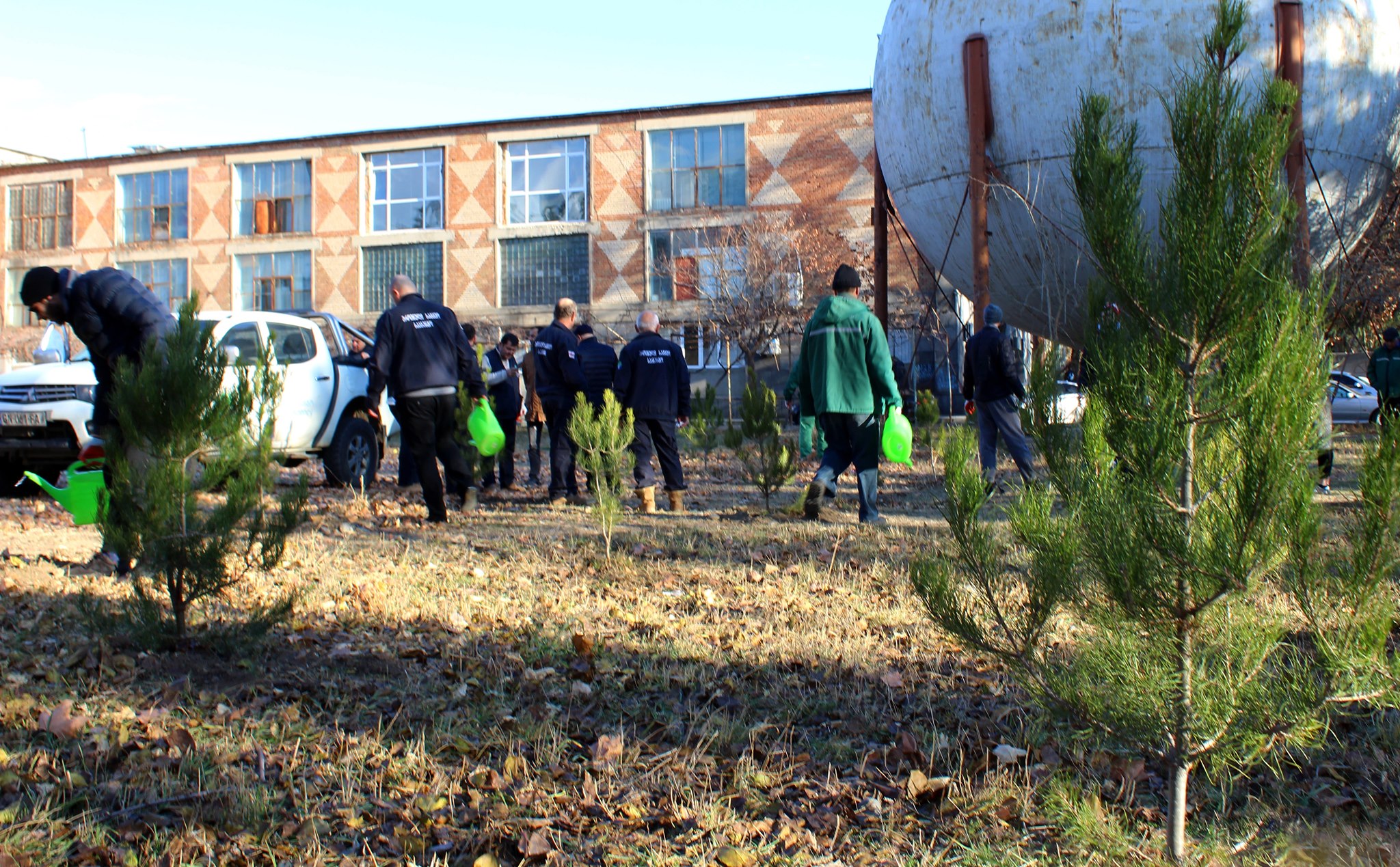 Planting trees in Rustavi