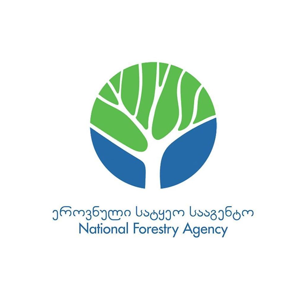 LEPL National Forestry Agency Development Strategy and Action Plan 2021-2026