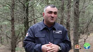 Be a forester - Gocha Saliashvili