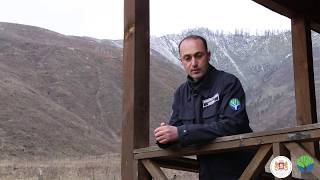 Be a forester - Koba Silagadze