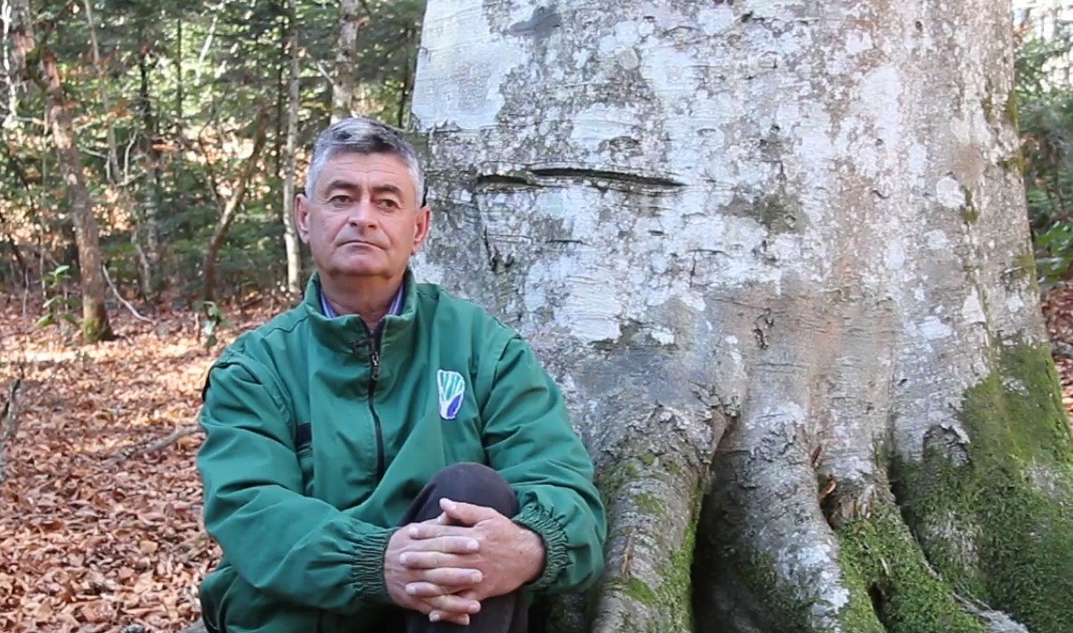 Meet the Forester - Ilia Giorgadze, Forester Specialist of Imereti Forestry Service