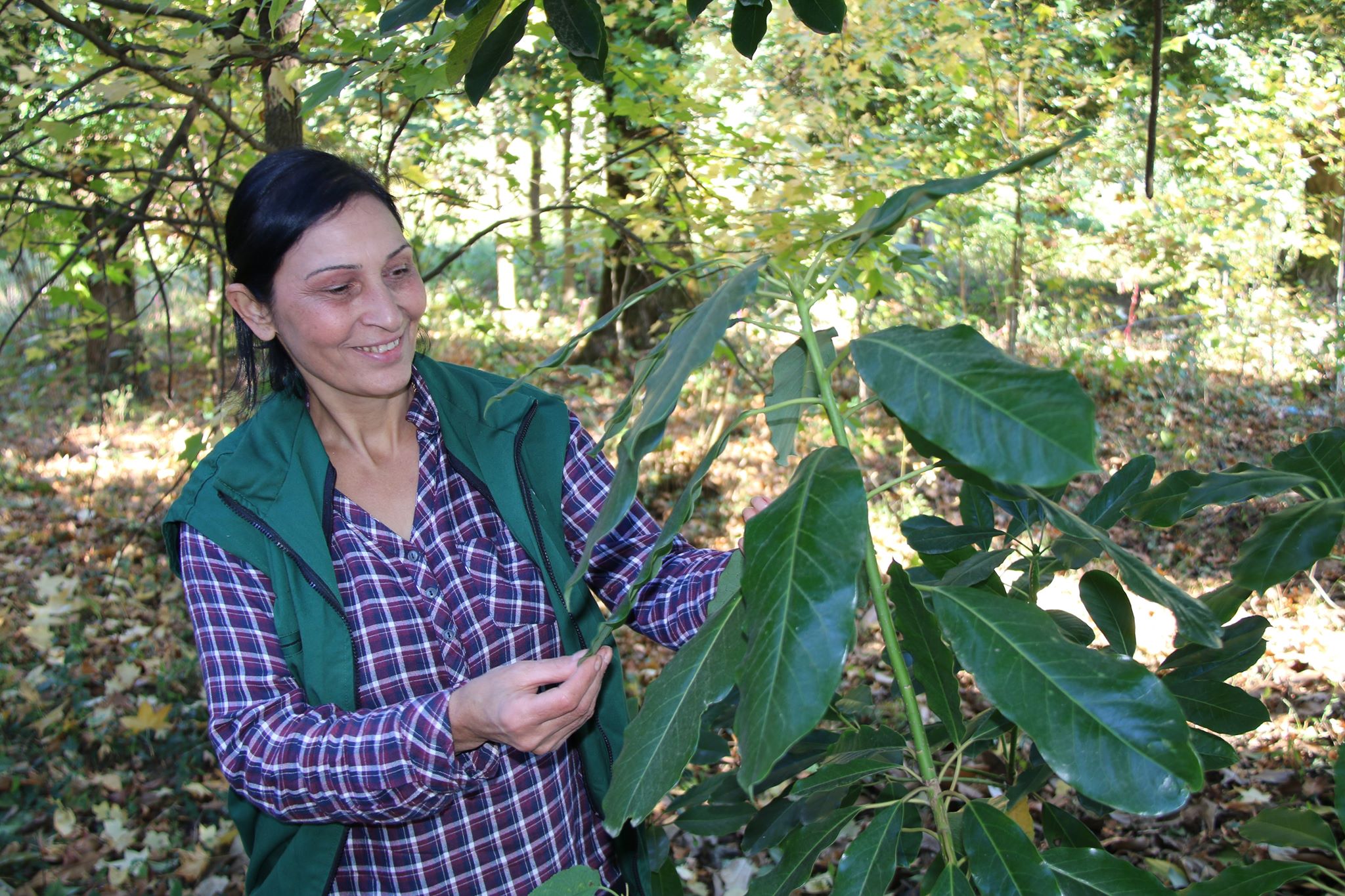 Forest Guard of Khaishi forest district Arma Chkadua portrait in TV show The Law of Nature