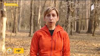 Forest fires prevention - Natia Iordanishvili in TV Show "New morning" 