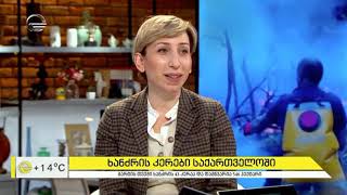 Forest fires prevention - Natia Iordanishvili in TV Show "Morning on Imedi"