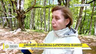 Natia Iordanishvili about forest fires prevention on TV Imedi