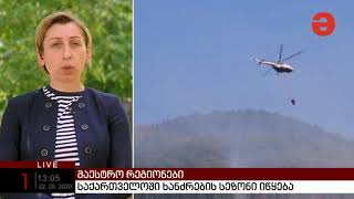 Natia Iordanishvili on TV Maestro about forest fire prevention